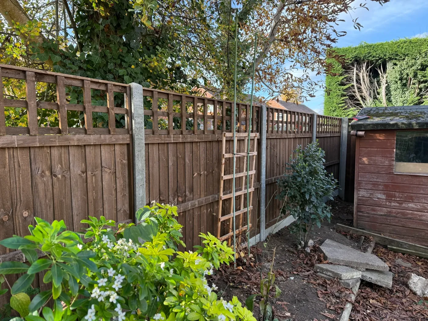 Trellis topped fence panels fitted in a garden