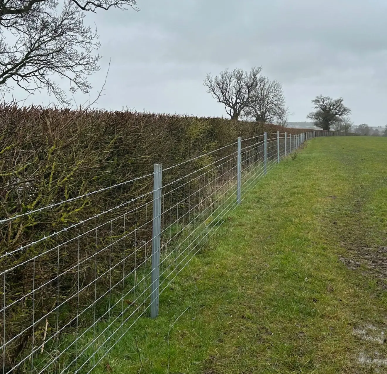 Field boundary fencing in the countryside